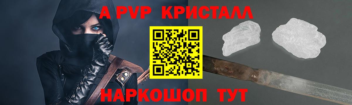 A PVP СК Орёл