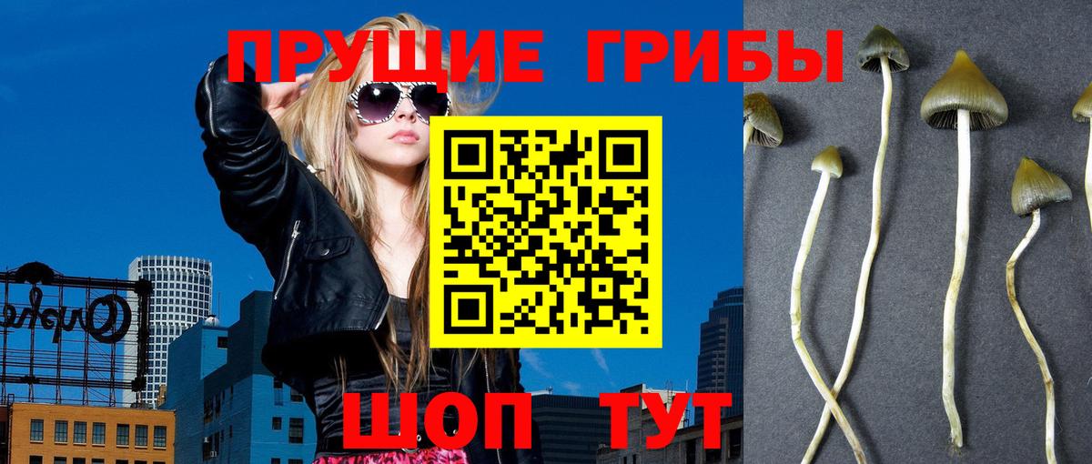 Галлюциногенные грибы ЛСД  Вход с VPN  Орёл  Псилоцибиновые грибы MAGIC MUSHROOMS 